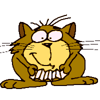 Animated Cat